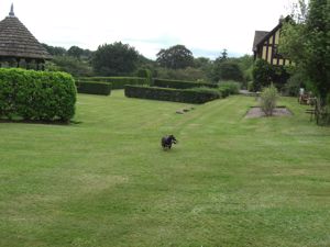 Photo 3- click for photo gallery